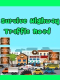 Survivehighwaytrafficroad