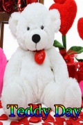 Teddy Day