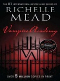 The Meeting Vampire Academy 1.1