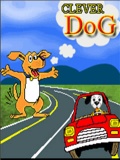 Cleverdog Mot E'8