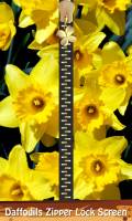 Daffodils Zipper Lock Screen