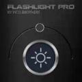 Pico Brother Flashlight Pro