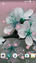 Spring Flowers Live Wallpaper