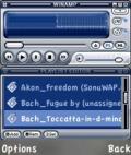 Winamp Music Player