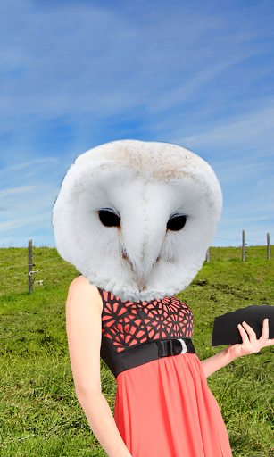 Animal Face Photo Montage