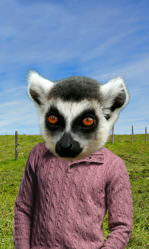 Animal Face Photo Montage