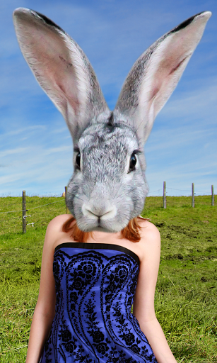 Animal Face Photo Montage