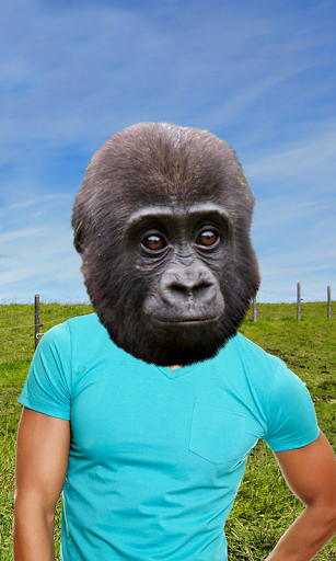 Animal Face Photo Montage