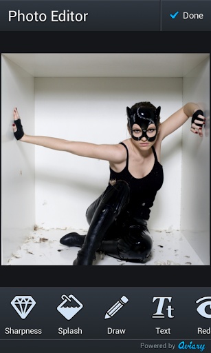 Cat Mask Photo Montage