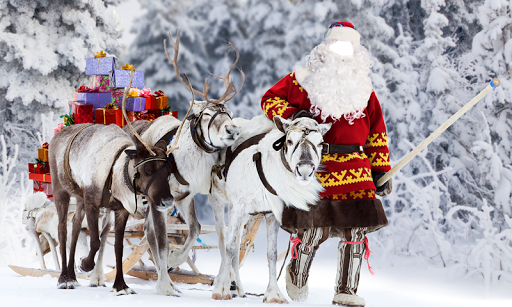 Merry Christmas Photo Montage