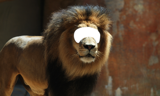 Tiger And Lion Photo Montage