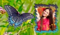 Butterfly Photo Frames mobile app for free download