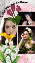 Calla Photo Collage