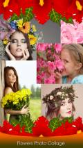 Flowers Photo Collage