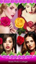 Roses Photo Collage