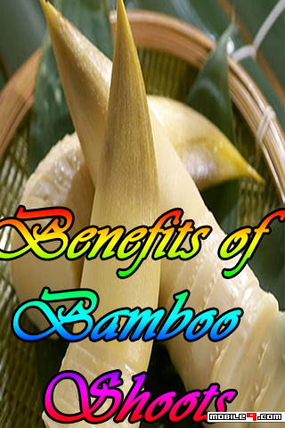 Benefits Of Bamboo Shoots
