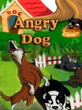 Angry Dog mobile app for free download