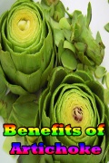 Benefits Of Artichoke