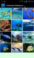 Underwater Wallpapers mobile app for free download