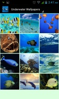 Underwater Wallpapers