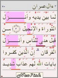 Mobile English Tajweed Quran 1.0.4 mobile app for free download