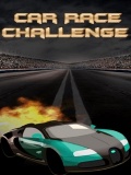 Car Race Challenge