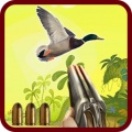 Duck Hunting mobile app for free download