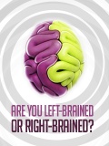 Are You Left Brained Or Right Brained