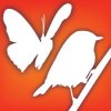 Audubon Birds and Butterflies   A Field Guide to North American Birds and Butterflies 1.6 mobile app for free download