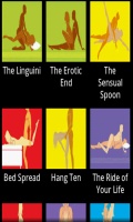 Kamasutra Sex Positions And Interactive Game