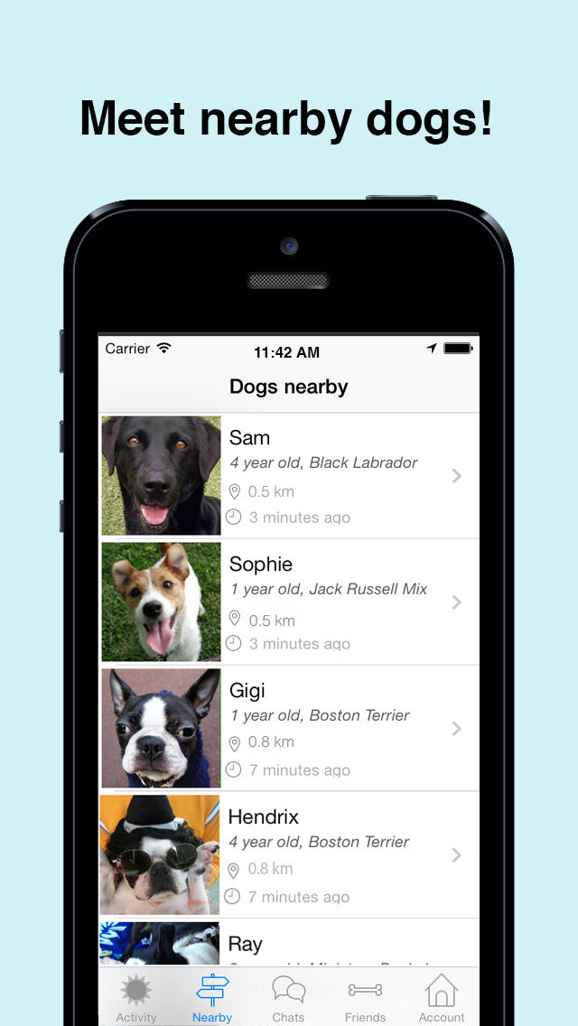 Meet My Dog   Social Idog Meet Up App For Woof Woofs And Their Owners