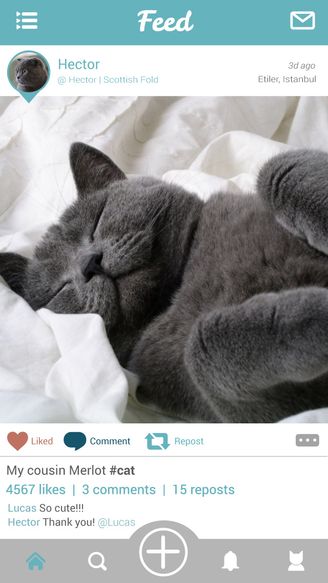 Moofio   Pet Social Network For Cats Dogs And All Other Animals