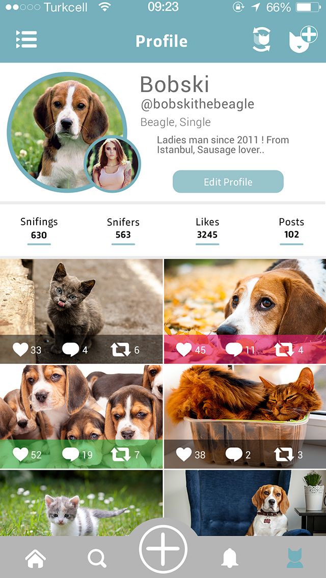 Moofio   Pet Social Network For Cats Dogs And All Other Animals