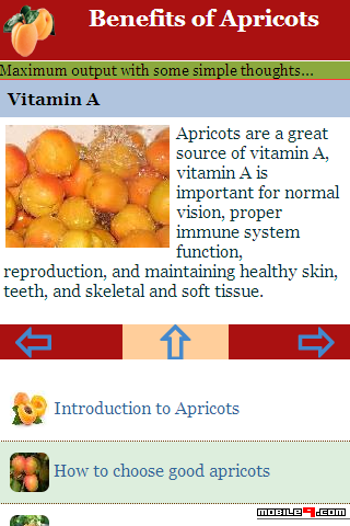 Benefits Of Apricots