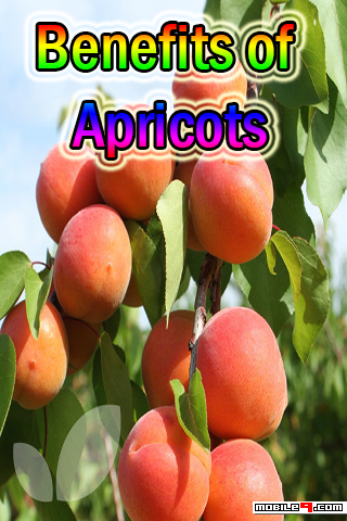 Benefits Of Apricots