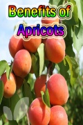 Benefits Of Apricots