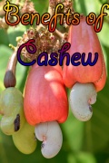Benefits Of Cashew