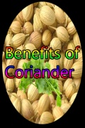 Benefits Of Coriander