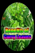 Benefits Of Curry Leaves