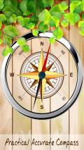 Practical Accurate Compass