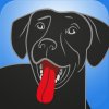 Bringfido   Pet Friendly Hotels 2.0.4