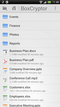 BoxCryptor mobile app for free download