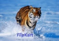 FlipKartapp mobile app for free download