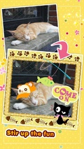 My Cat Photo Sticker Free mobile app for free download