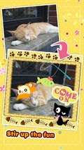 My Cat Photo Sticker Free