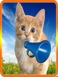 Talking Cat Sound mobile app for free download