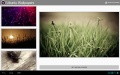 Ubuntu HD Wallpapers mobile app for free download