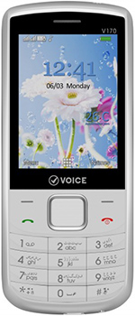 Voice V170 price in pakistan