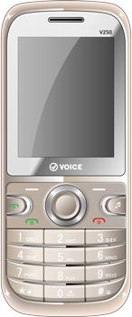 Voice V250 price in pakistan