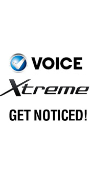 Voice Xtreme V15 price in pakistan